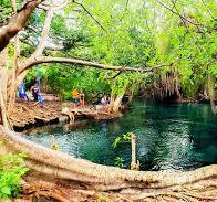 Kikuletwa oasis view