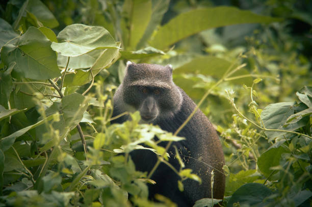 Relaxing beach scene in Zanzibar