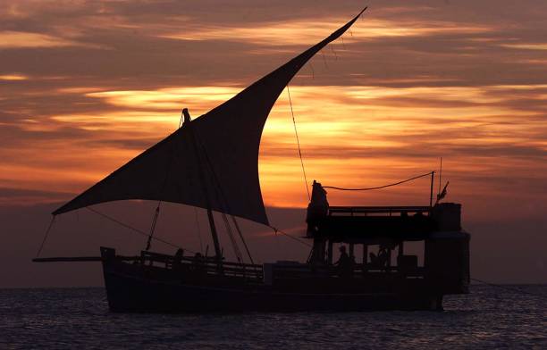 Boat safari in Saadani National Park