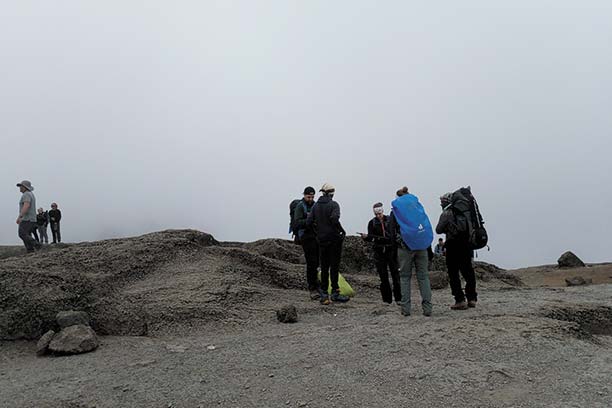 Lush forest trail on Lemosho Route