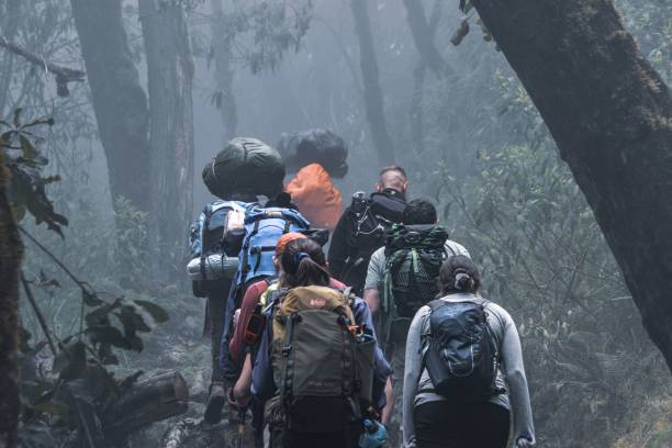 Climbers ascending the Barranco Wall on the Umbwe Route