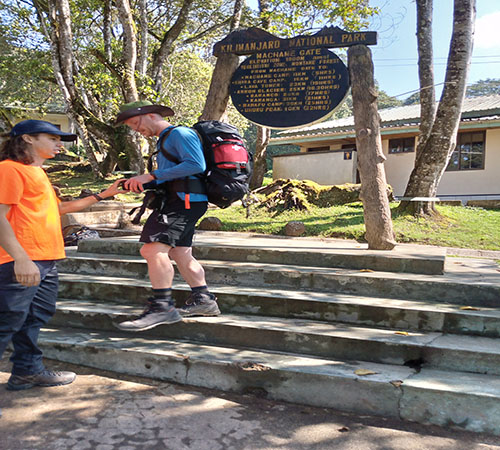 Hikers ascending through the rainforest on the Northern Circuit