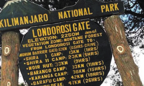 Shira Camp overlooking the plains below