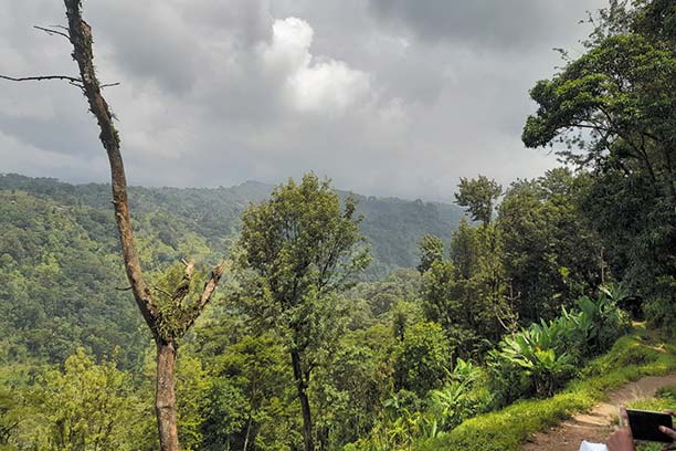 Materuni Village and forest views