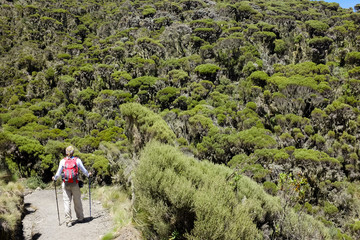 Mount Meru from Arusha National Park
