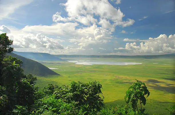 Ngorongoro Day Safari