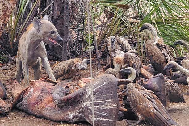 Serengeti National Park