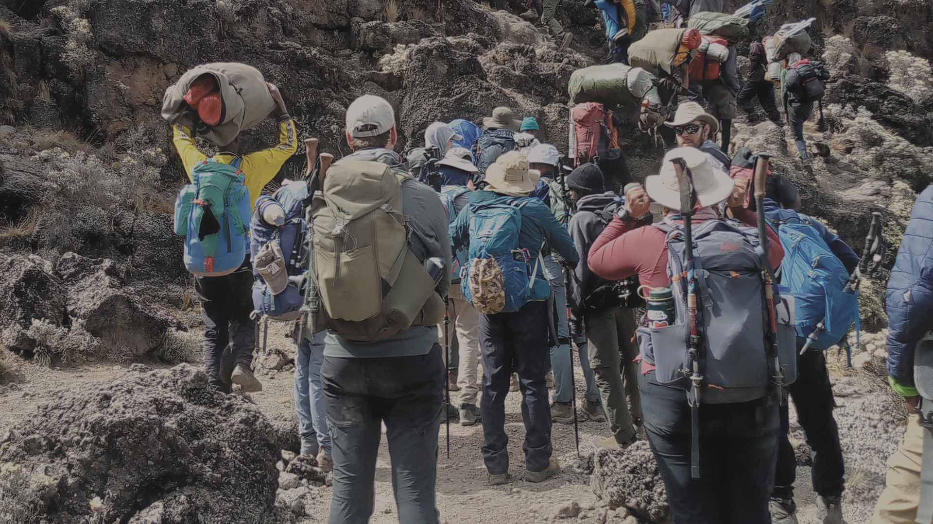 Rainforest trail on Machame Route