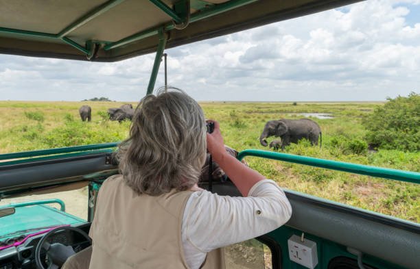 Best Time for Visiting Southern Tanzania Safaris