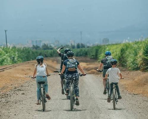 Moshi Bike Tour – The Ultimate Cycling Adventure in Kilimanjaro